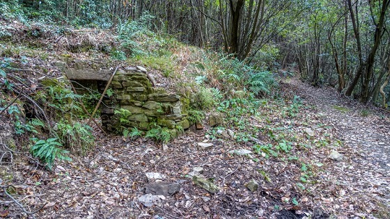 e0176993_07562216.jpg