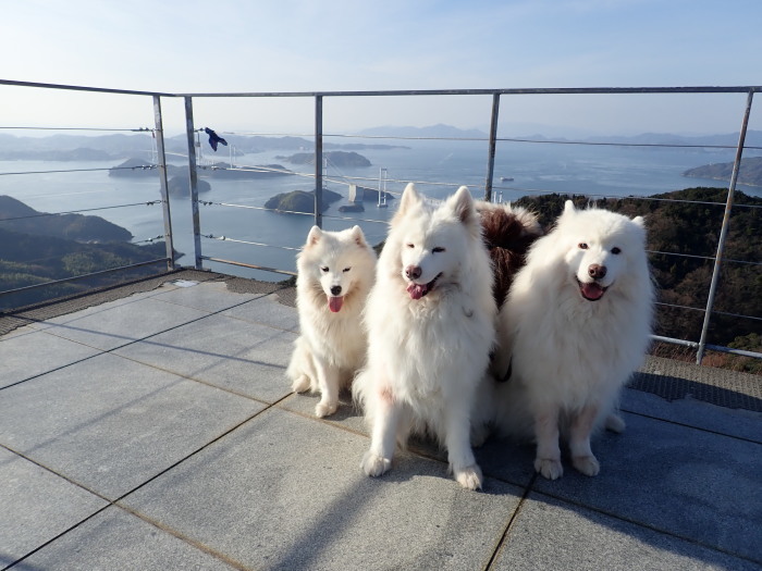 2017~18 年末年始の旅 2_a0049296_07324570.jpg