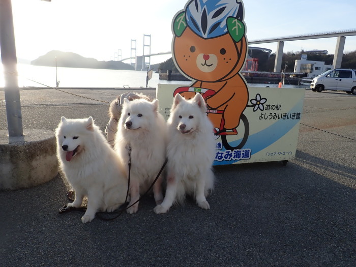 2017~18 年末年始の旅 2_a0049296_07400512.jpg