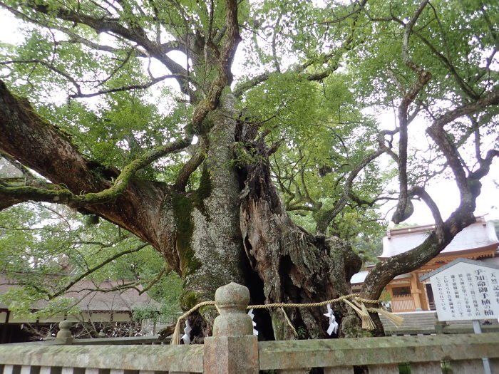 2017~18 年末年始の旅 3_a0049296_17564664.jpg