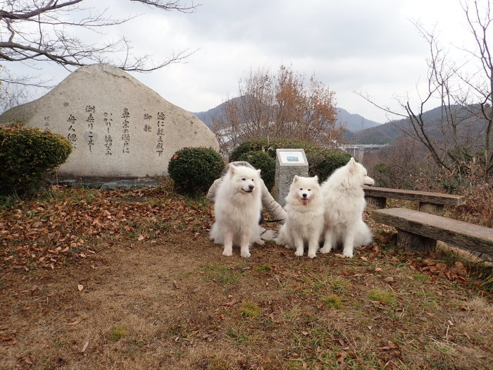 2017~18 年末年始の旅 3_a0049296_17593007.jpg