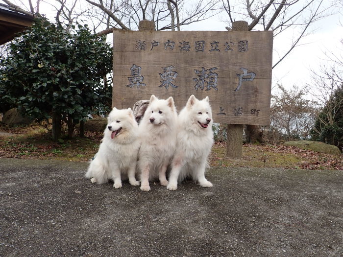 2017~18 年末年始の旅 3_a0049296_17594949.jpg