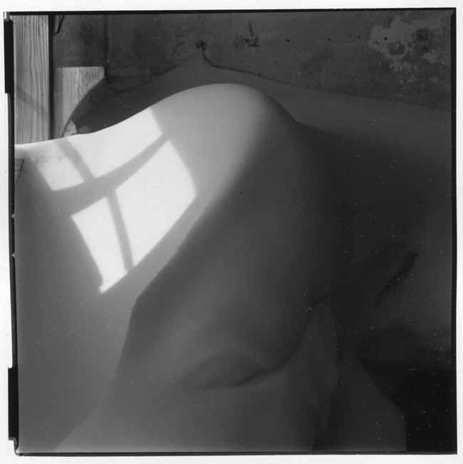 寒の入り_f0173596_14025821.jpg