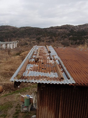 c0187298_20422166.jpg