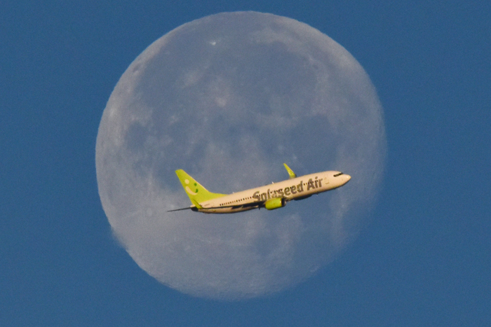 c0049299_20293749.jpg