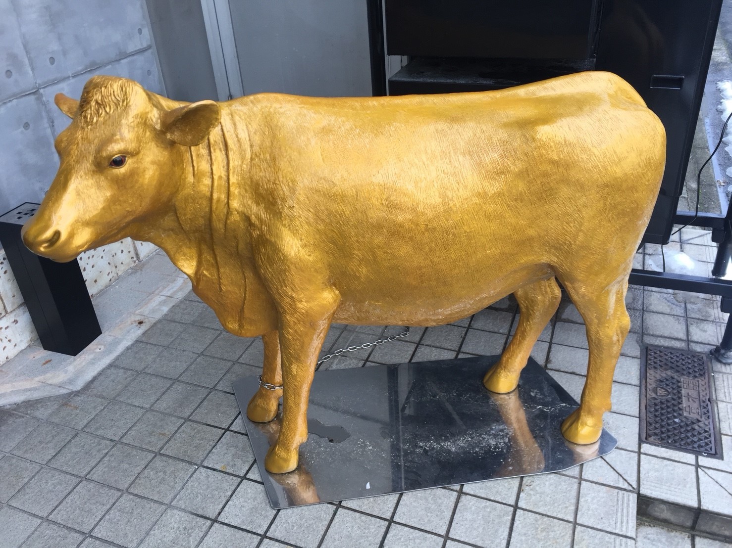 肉料理 Nick_e0115904_08193963.jpg