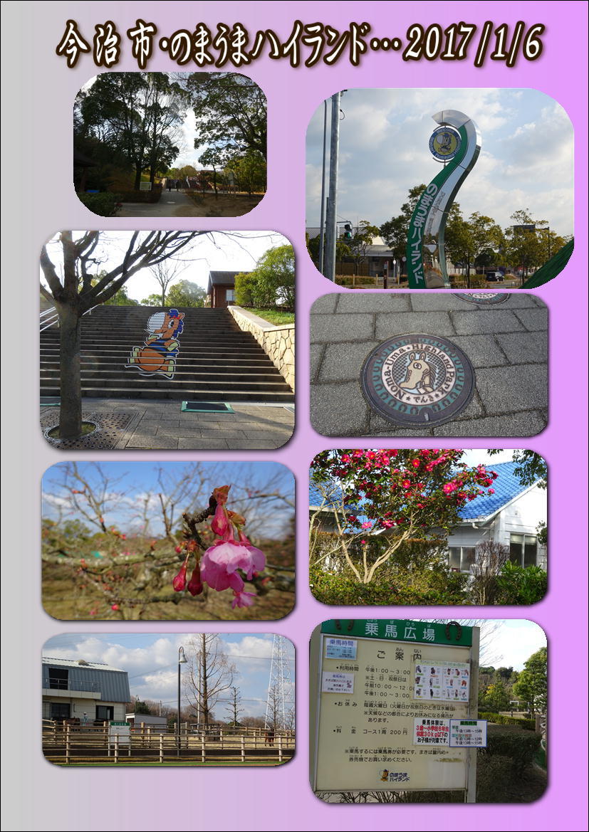f0231709_21005093.jpg