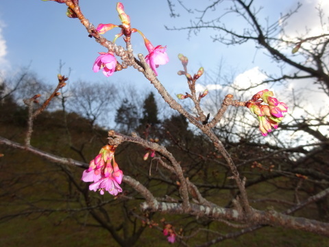 f0231709_21024369.jpg