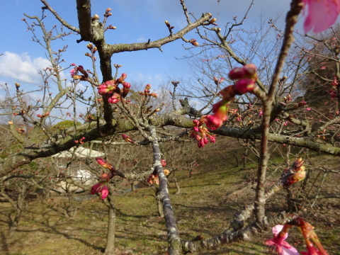 f0231709_21033032.jpg