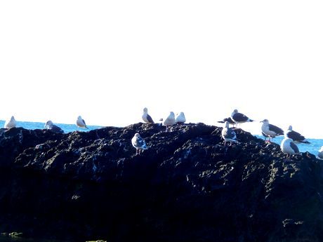 b0352112_16430001.jpg