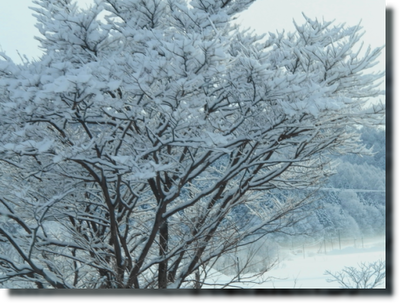 a0114514_1821421.png