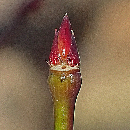 c0190915_19164150.jpg