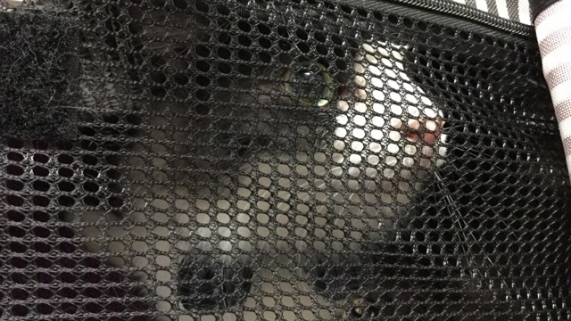 d0221319_20310159.jpeg