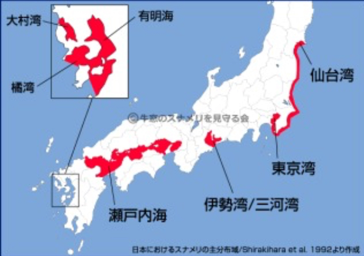 e0165019_21341452.jpeg
