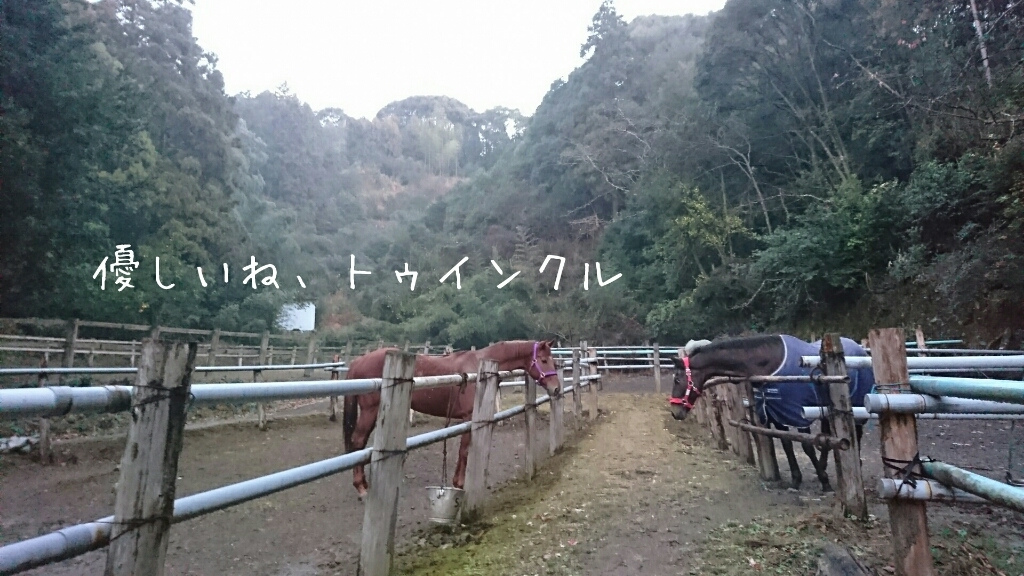 b0187620_20480818.jpg