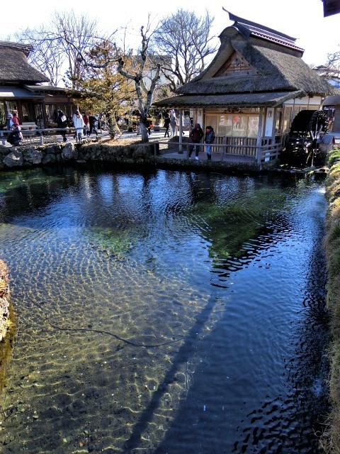 f0354923_01152652.jpg