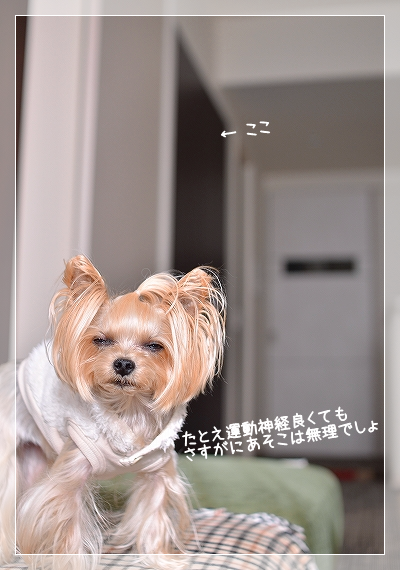 d0179828_13294451.png