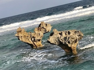 c0051529_22215001.jpg