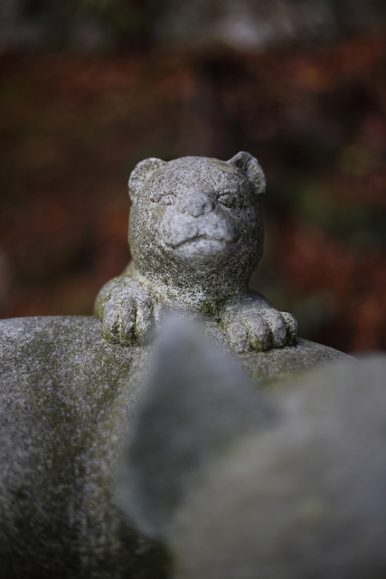 戌年の神社・お寺巡り －三宝寺－_b0169330_12105968.jpg