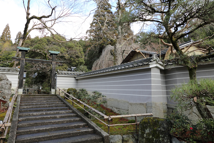 戌年の神社・お寺巡り －三宝寺－_b0169330_75640100.jpg