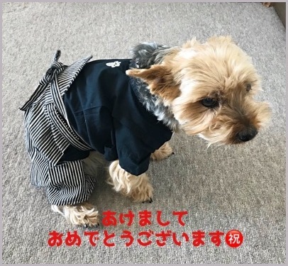 d0017632_11062655.jpeg