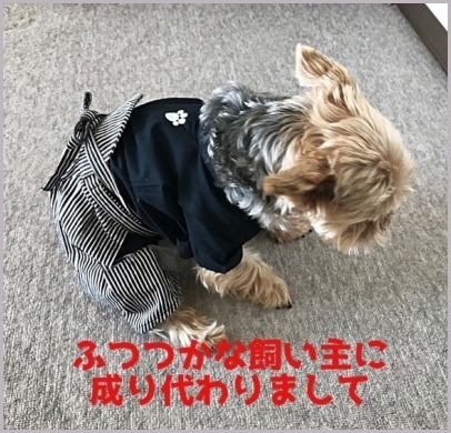 d0017632_11083451.jpeg