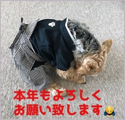 d0017632_11084881.jpeg