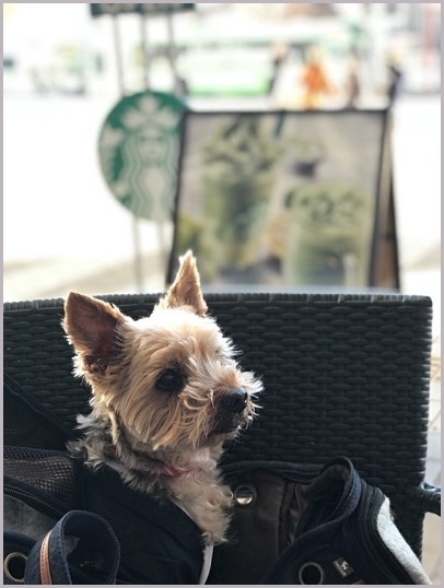 d0017632_11120500.jpeg