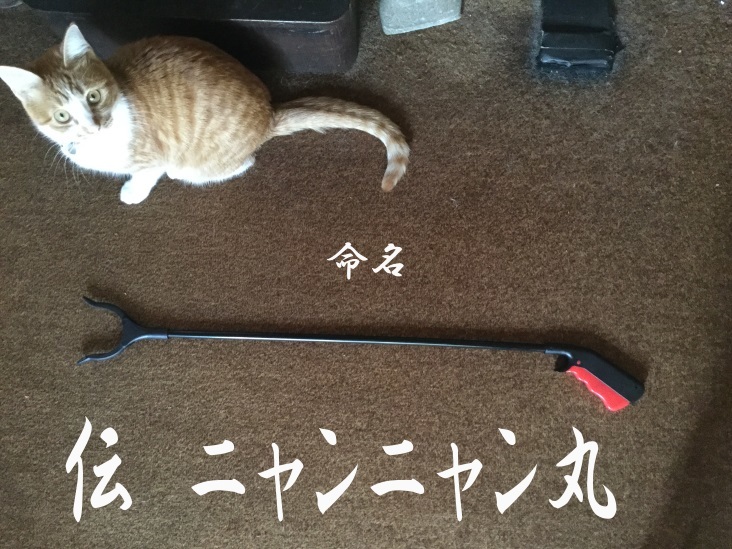 コタツ神機 魔法の手108円なり_d0067943_14304991.jpg