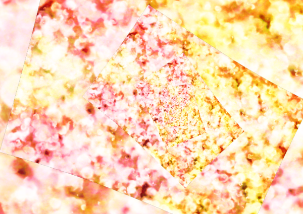 b0232447_11582148.png