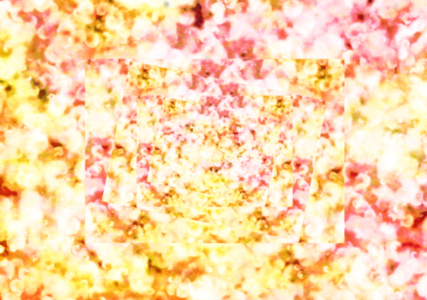 b0232447_11584707.png