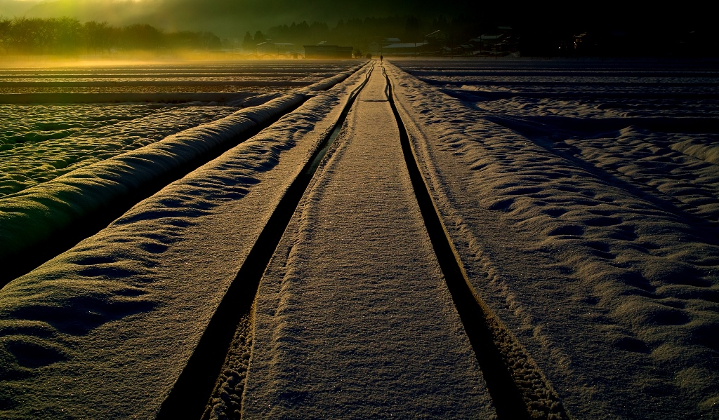 水路のセリ・・・雪原、夕暮れ_d0005250_16221179.jpg