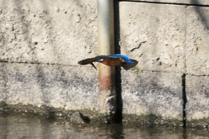 a0167759_02462.jpg