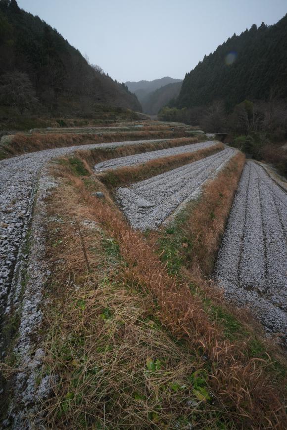 　明日香・栢森　薄化粧_b0161171_08121821.jpg