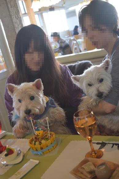 b0242873_02121944.png