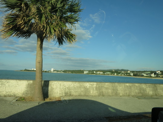 b0144174_19340190.jpg