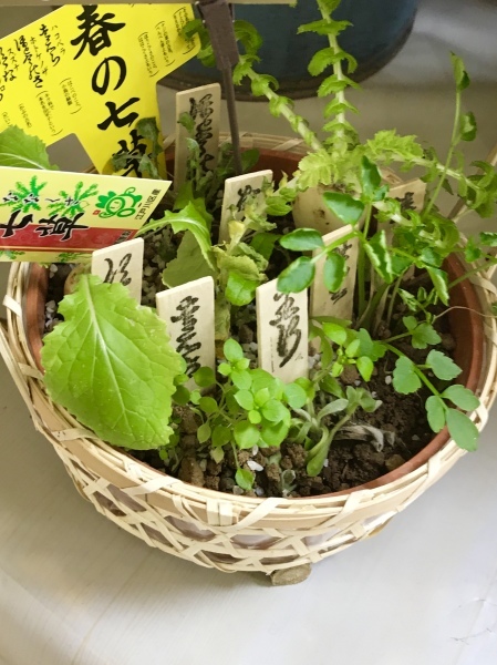 d0125776_12112890.jpeg