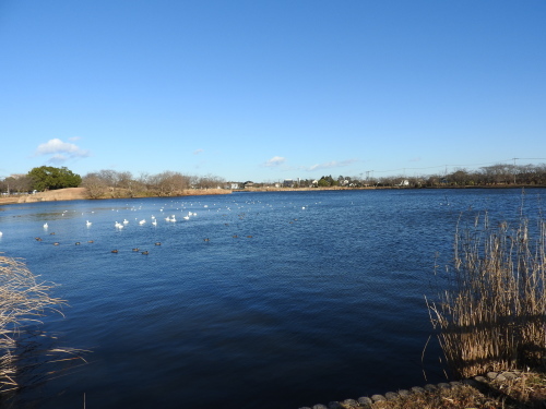 f0348480_17141219.jpg