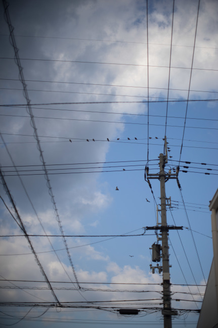 ★レンズテスト　富岡光学製「YASHINON-DX 50mm f1.4」_e0291683_21010650.jpg