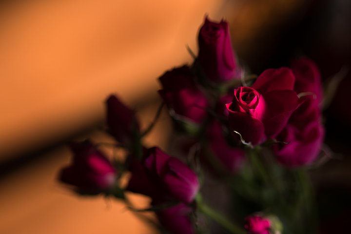 d0353489_15571230.jpg