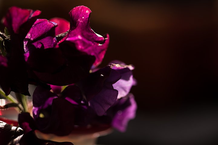 d0353489_15583262.jpg