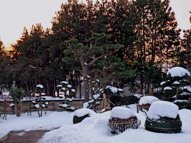 c0008502_18465645.jpg