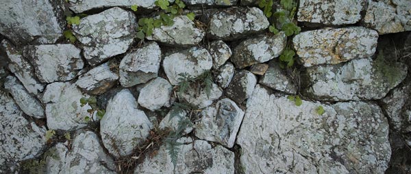 c0049902_103836.jpg