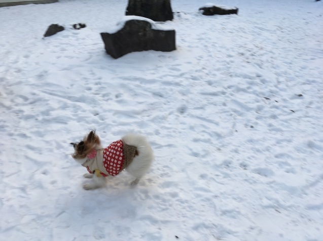 f0034602_19542277.jpeg