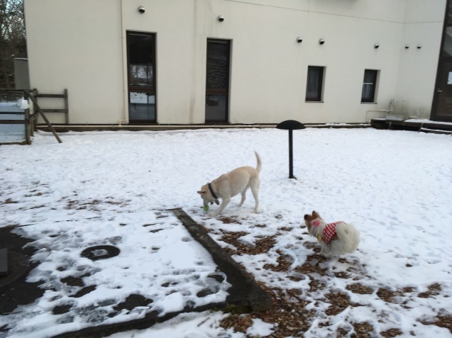 f0034602_19550648.jpeg