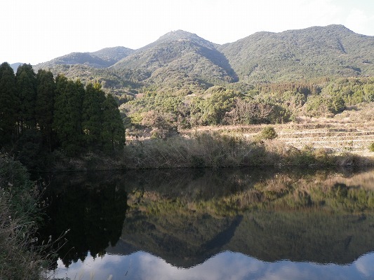 f0187402_19542268.jpg