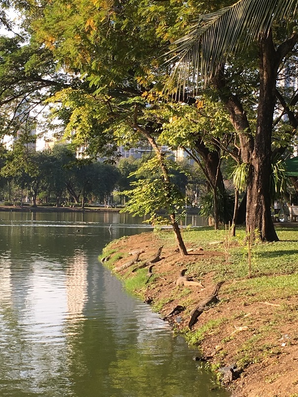 ルンピニー公園の、オオトカゲ　＊　バンコク旅_d0136804_15384746.jpg