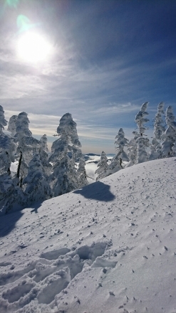 c0130705_20590109.jpg