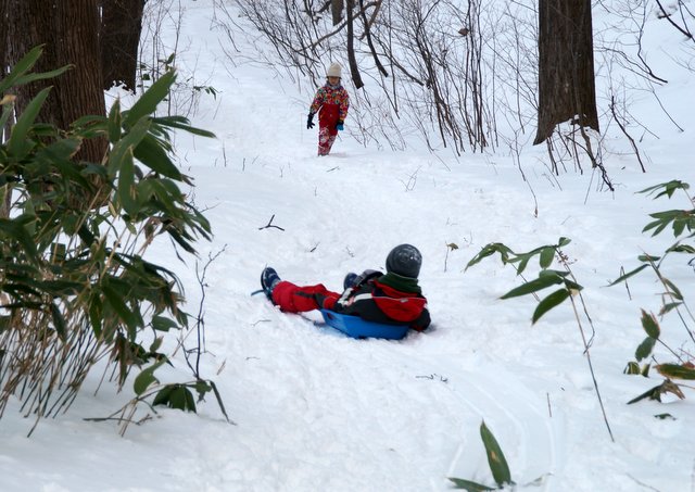 2017年12月29日(木)　ソリ遊び（三角山 こぶし平）_a0345007_10271296.jpg