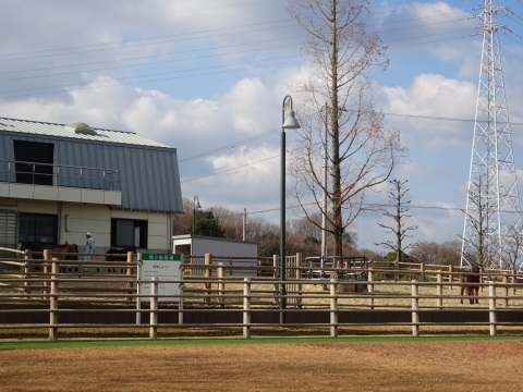 f0231709_19051353.jpg
